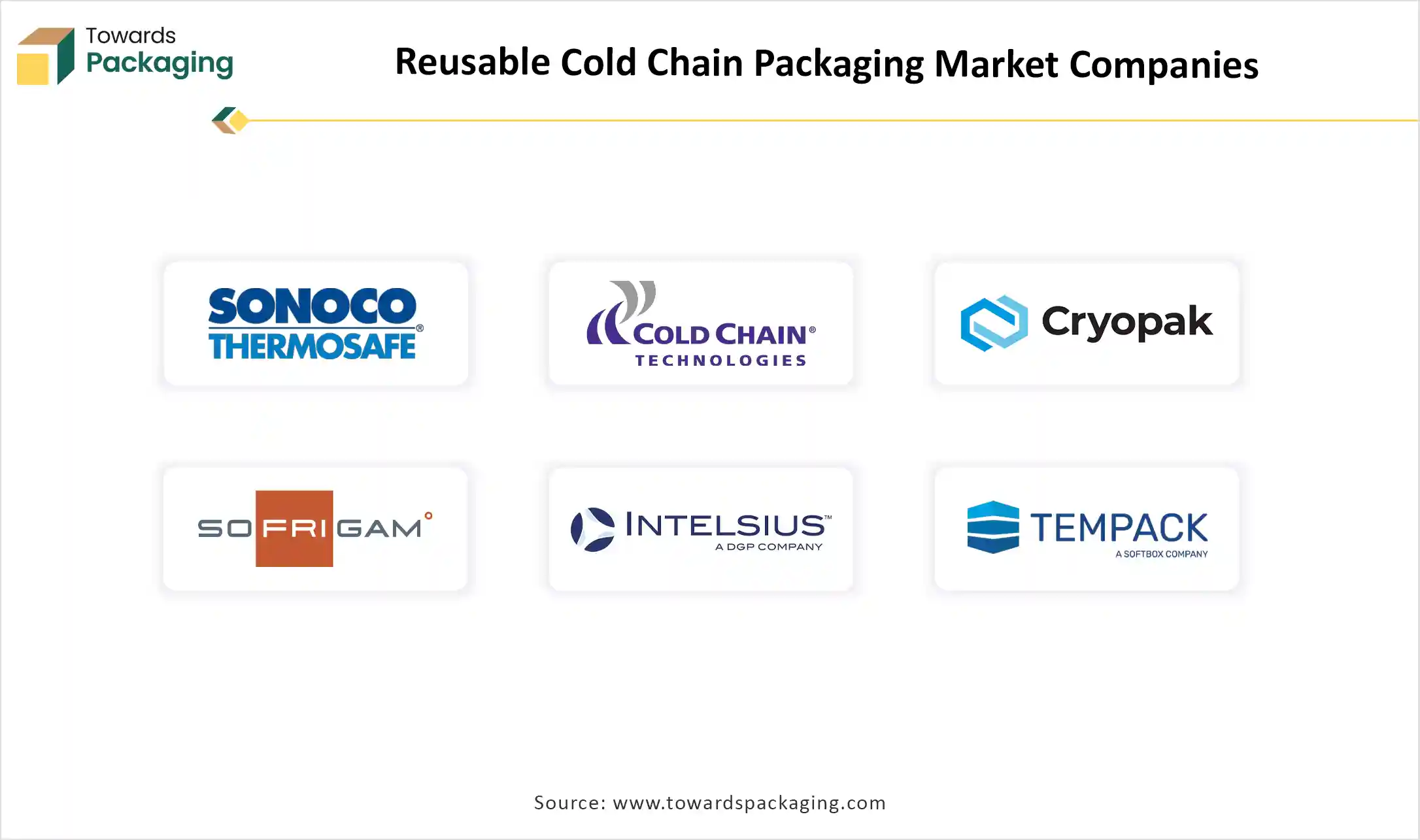 Reusable Cold Chain Packaging Market Companies Reusable Cold Chain Packaging Market Top Key Players