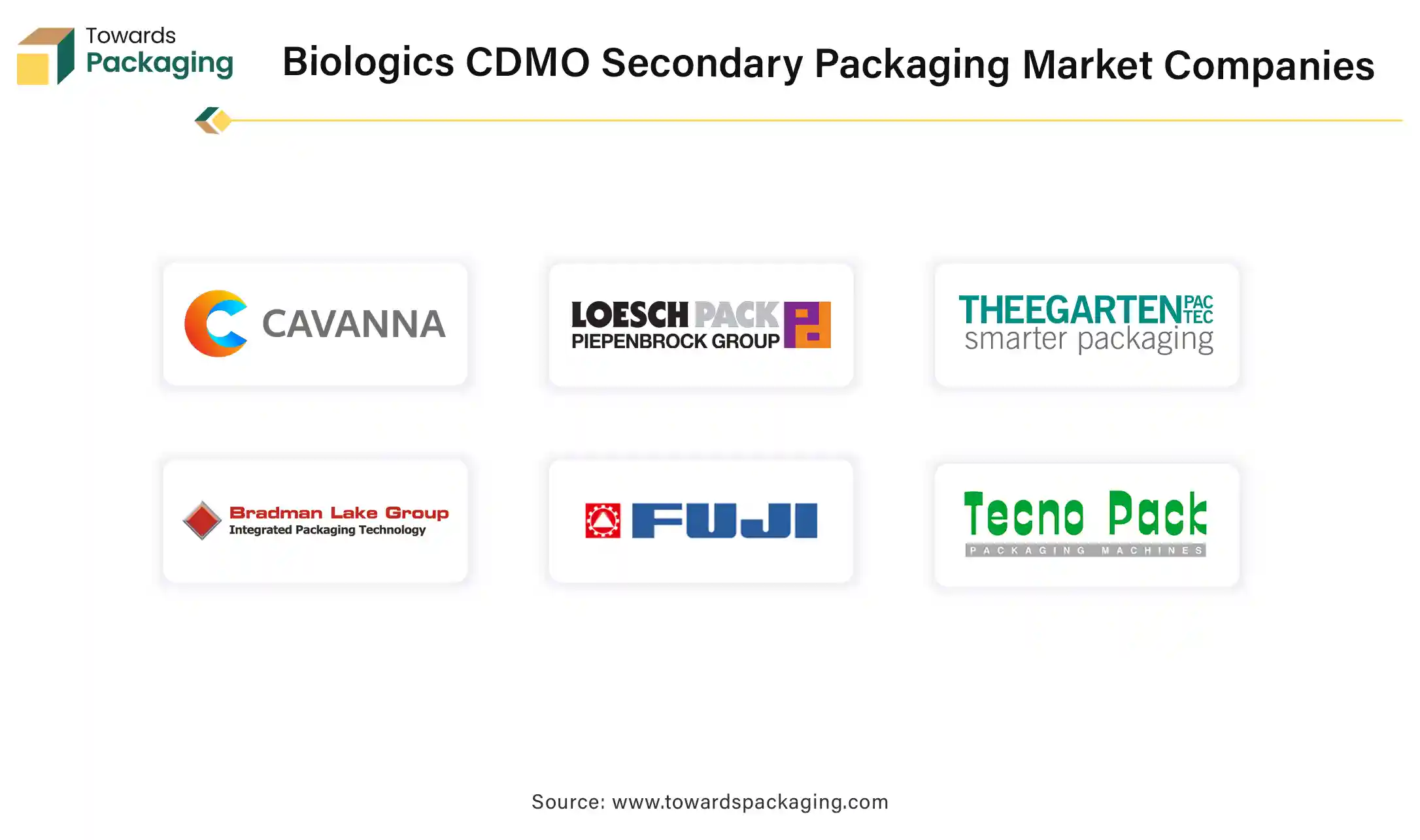 Biologics CDMO Secondary Packaging Market Companies