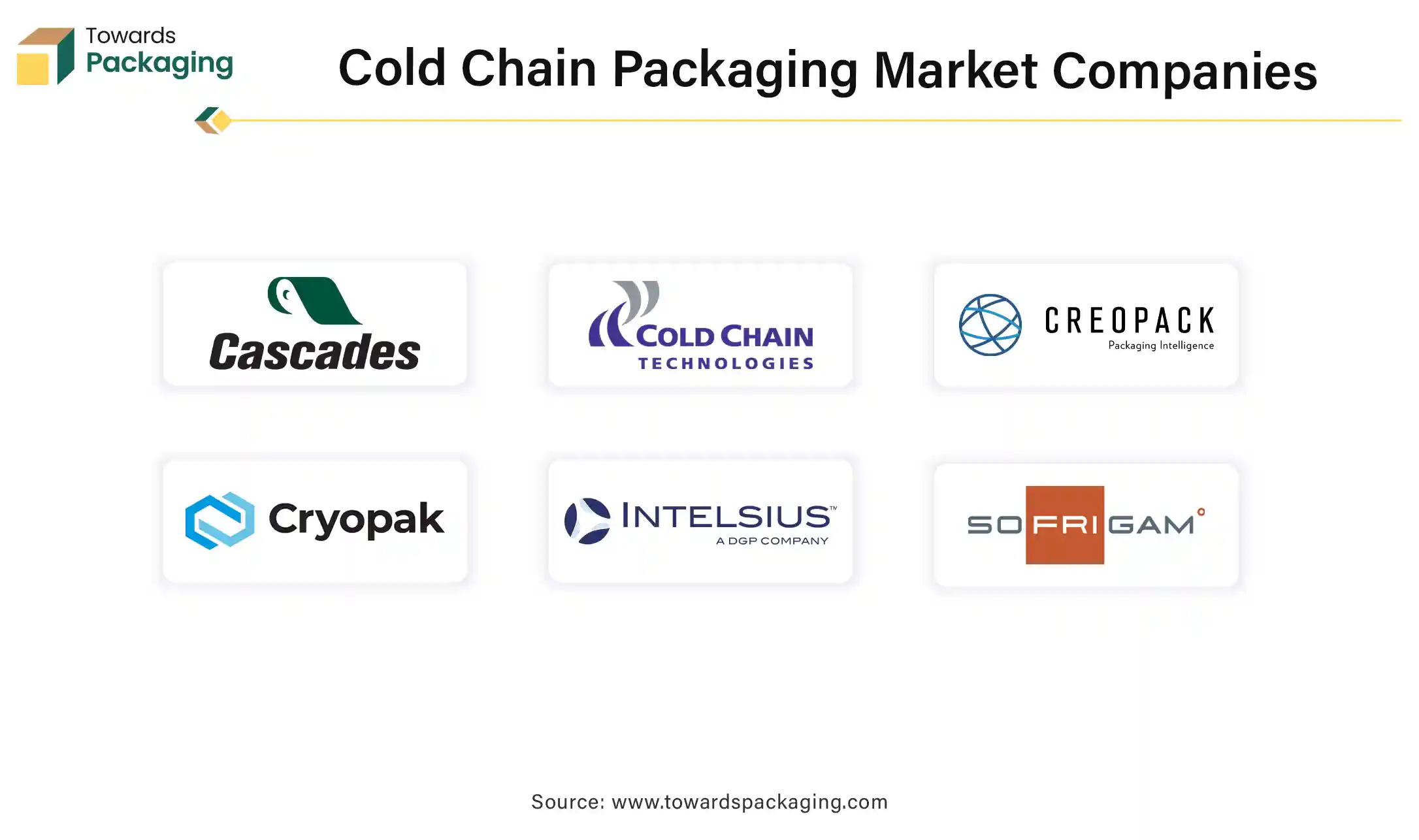 Cold Chain Packaging Market Companies