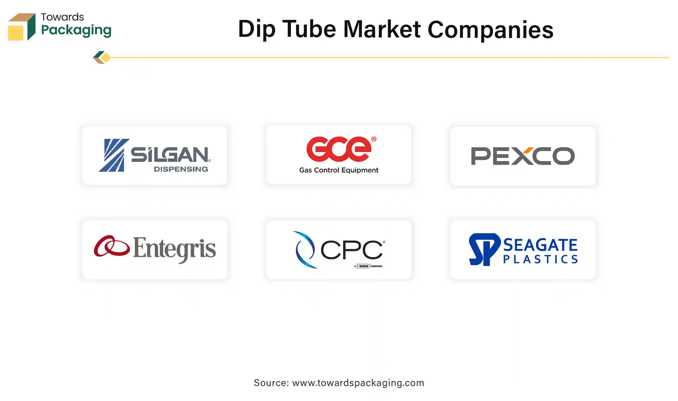 Dip Tube Market Companies