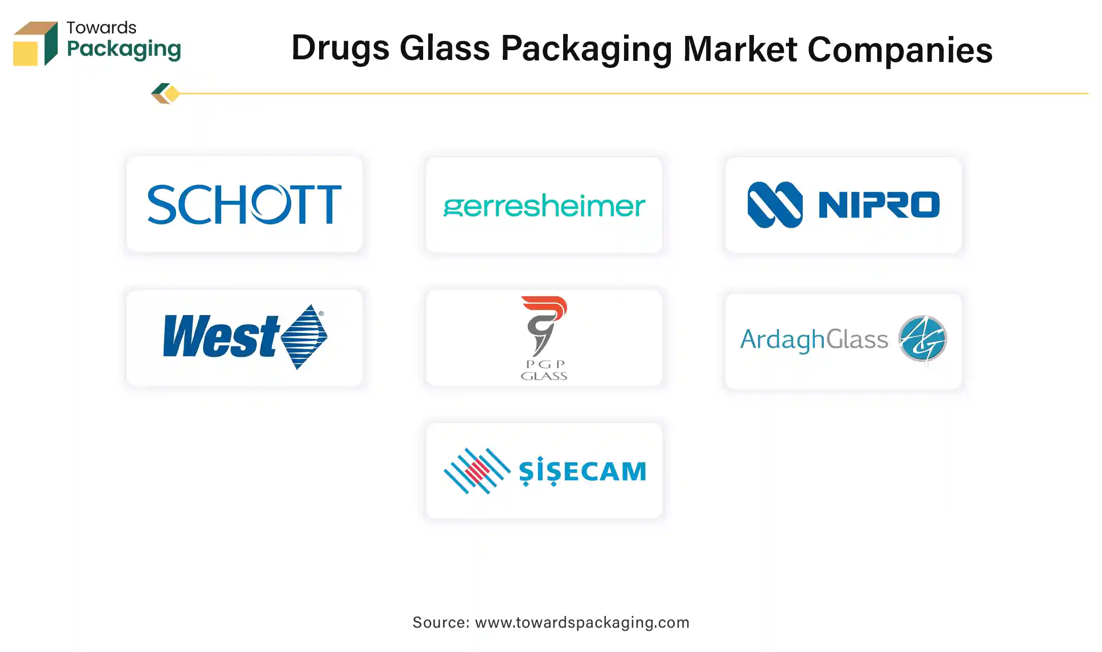 Drugs Glass Packaging Market Companies