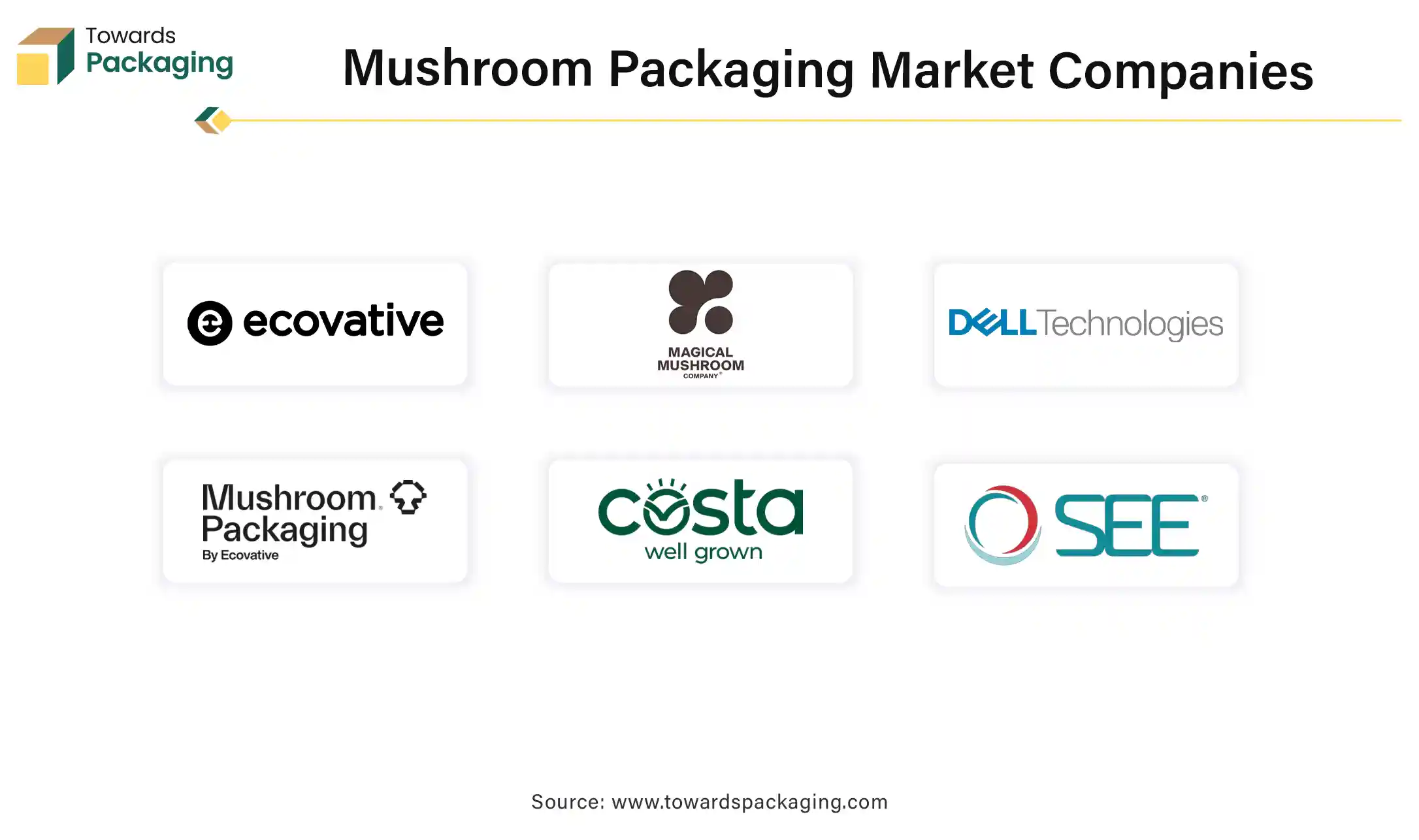 Mushroom Packaging Market Companies