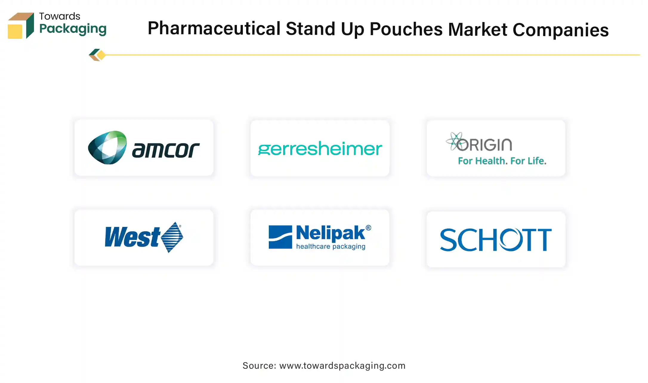 Pharmaceutical Stand Up Pouches Market Companies