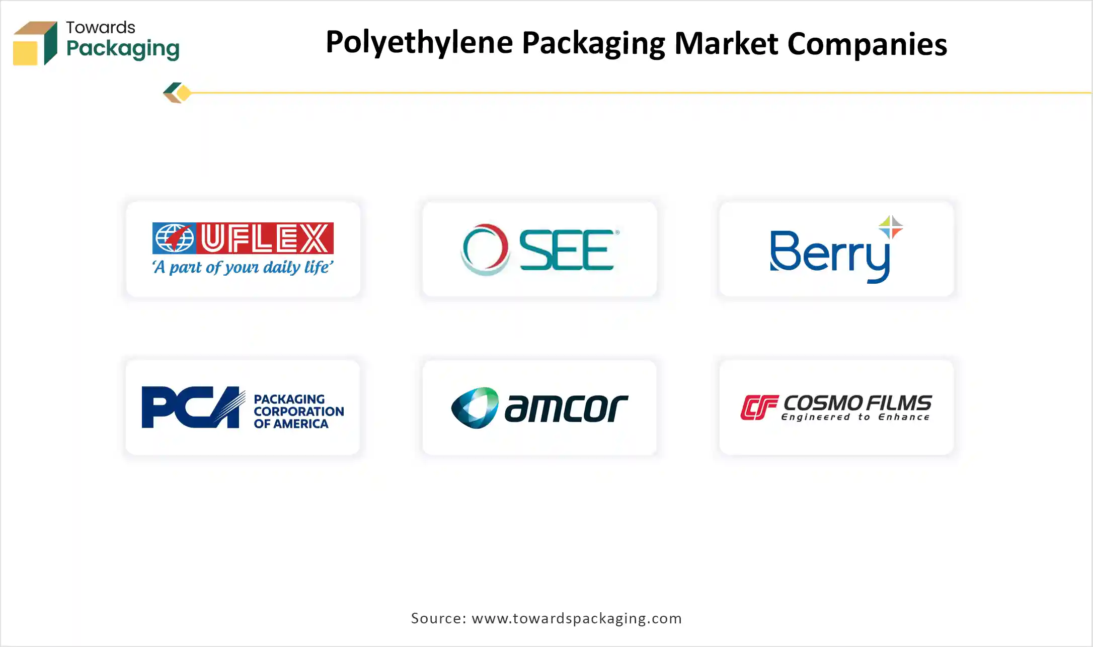 Polyethylene Packaging Market Companies Polyethylene Packaging Market Companies