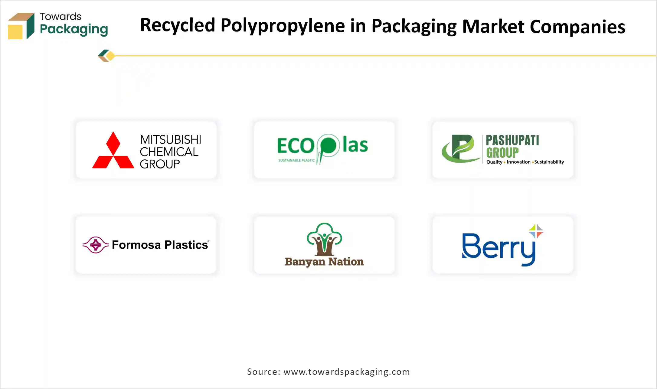 Recycled Polypropylene in Packaging Market Companies Recycled Polypropylene in Packaging Market Companies