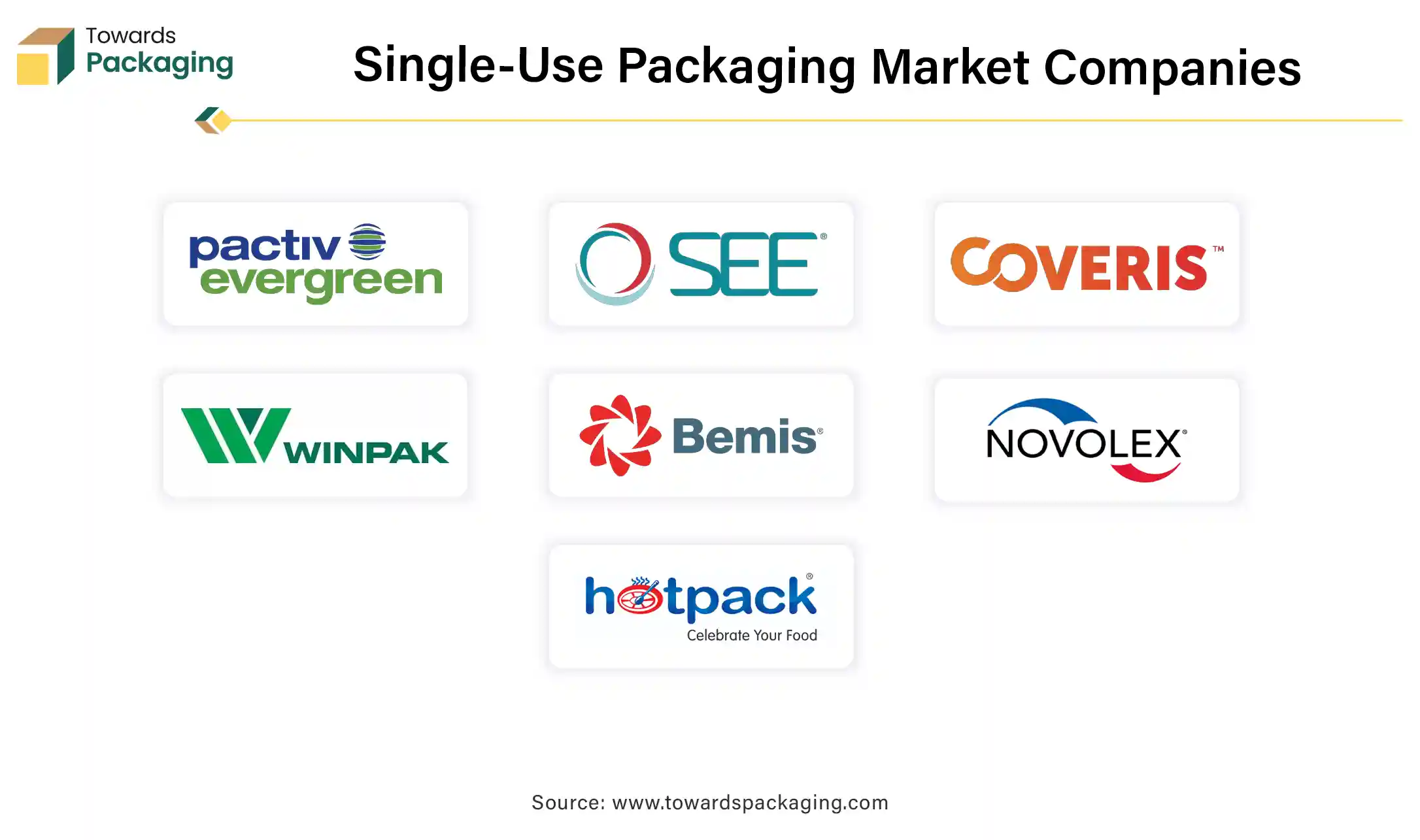 Single-Use Packaging Market Companies