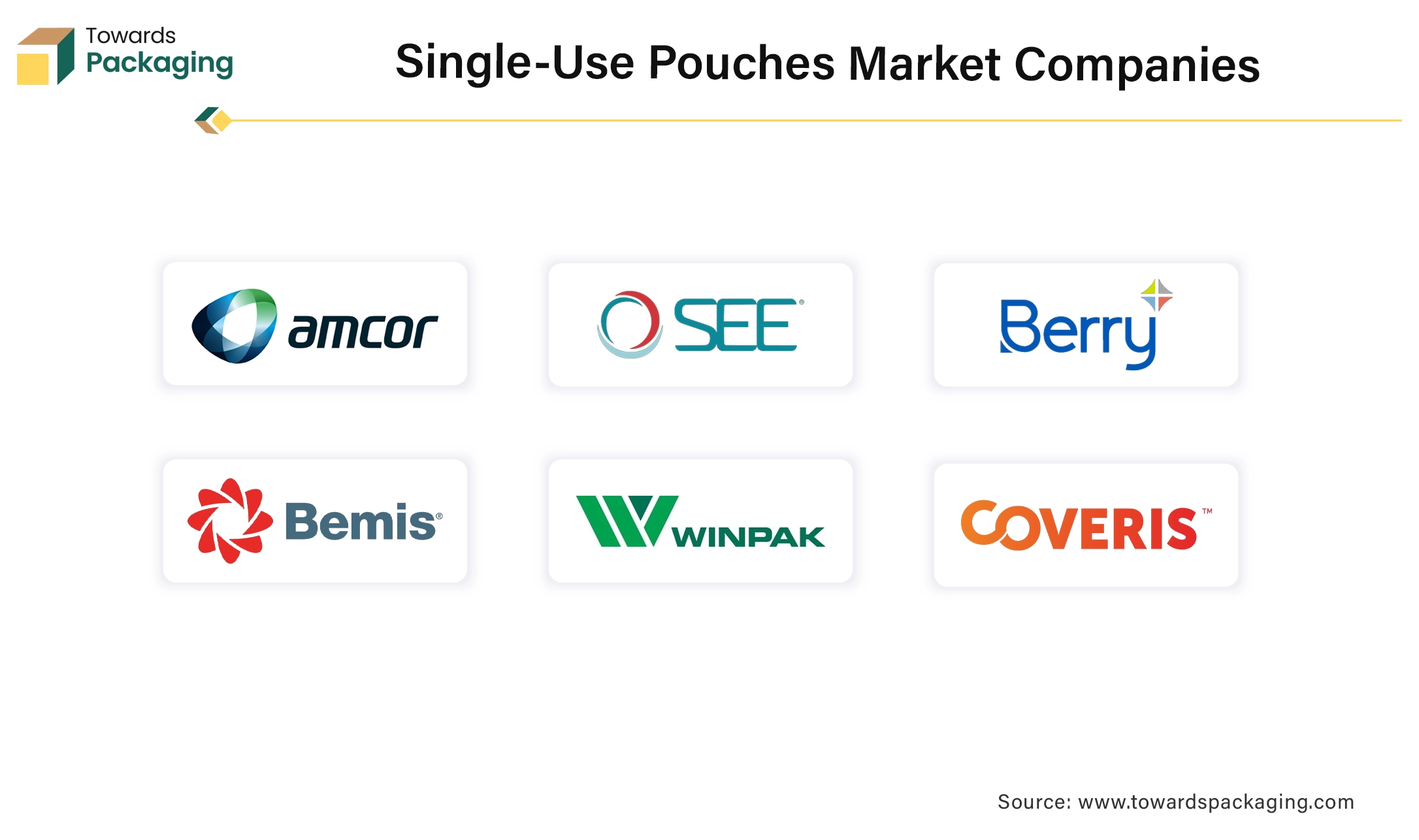 Single-use Pouches Market Companies