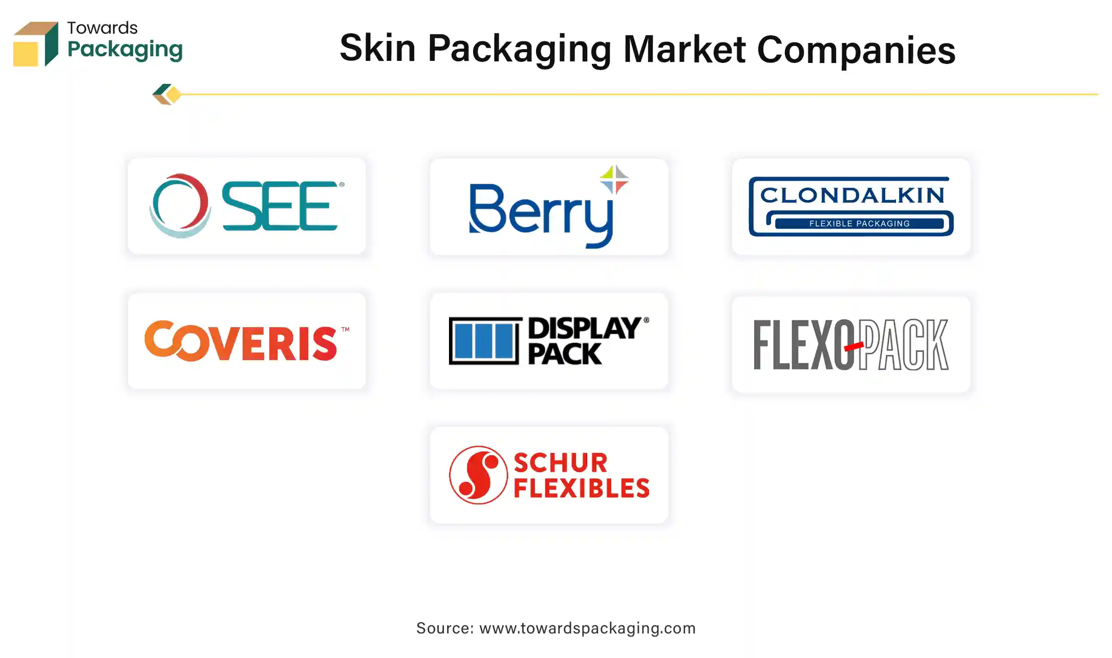 Skin Packaging Market Companies