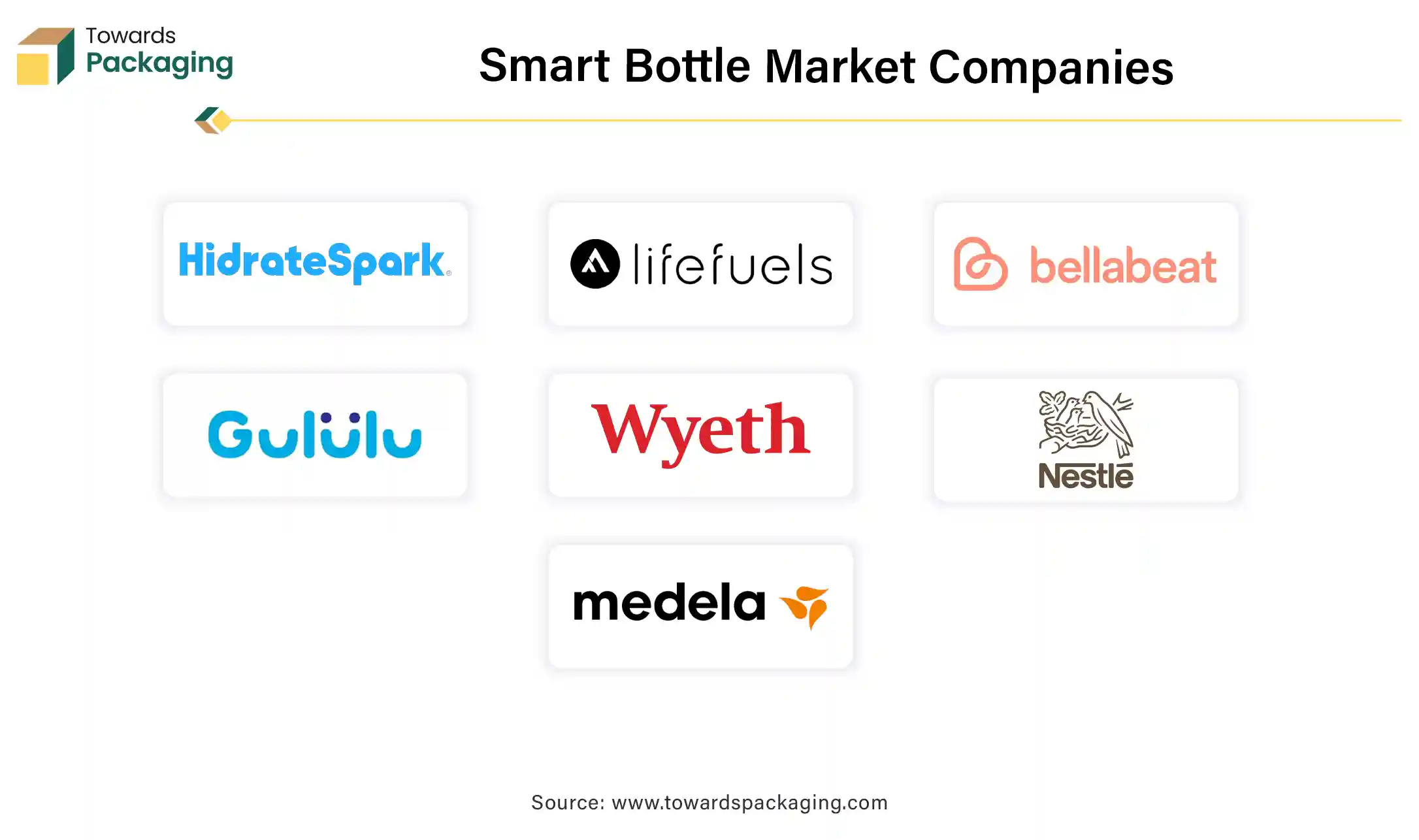 Smart Bottle Market Companies