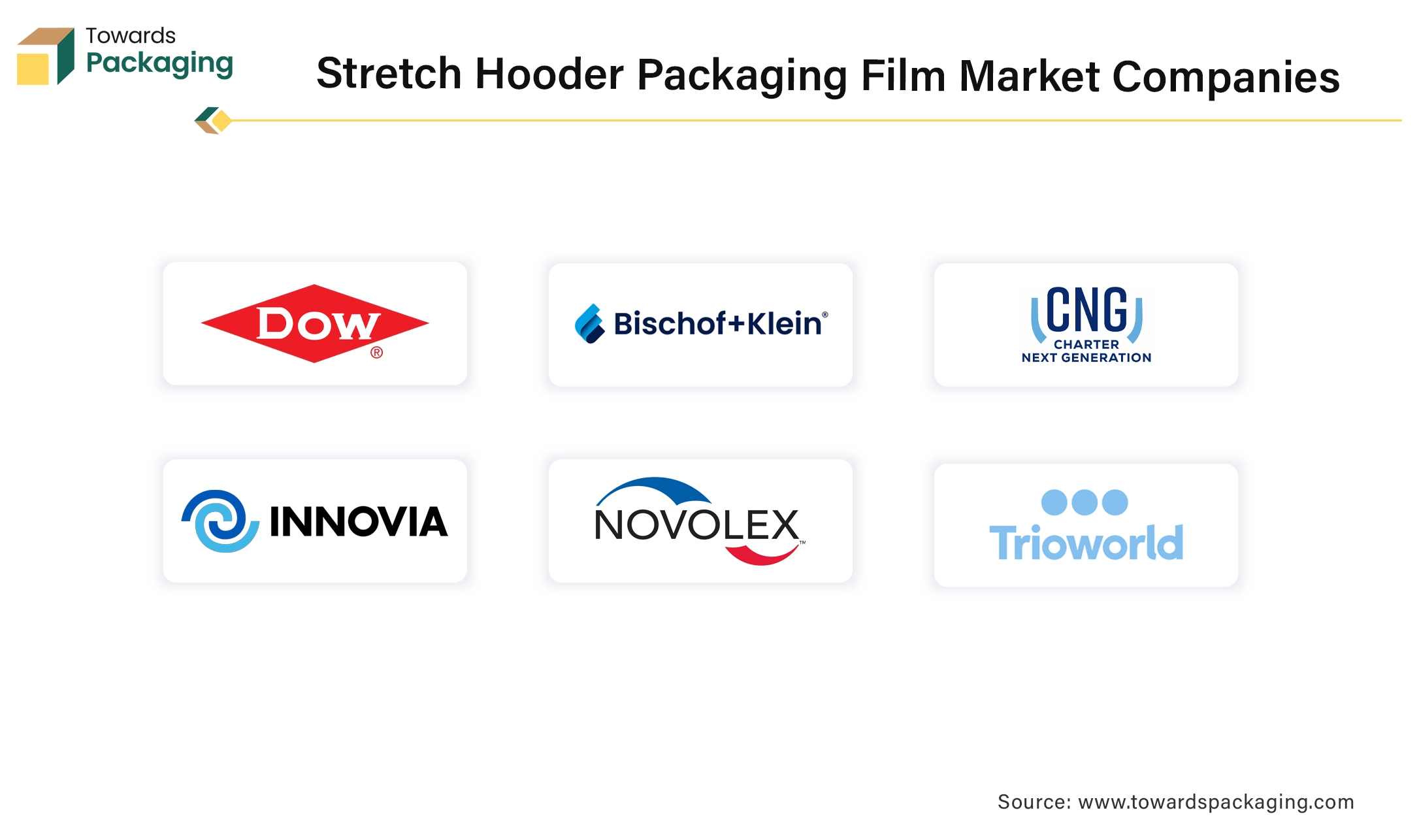 Stretch Hooder Packaging Film Market Companies