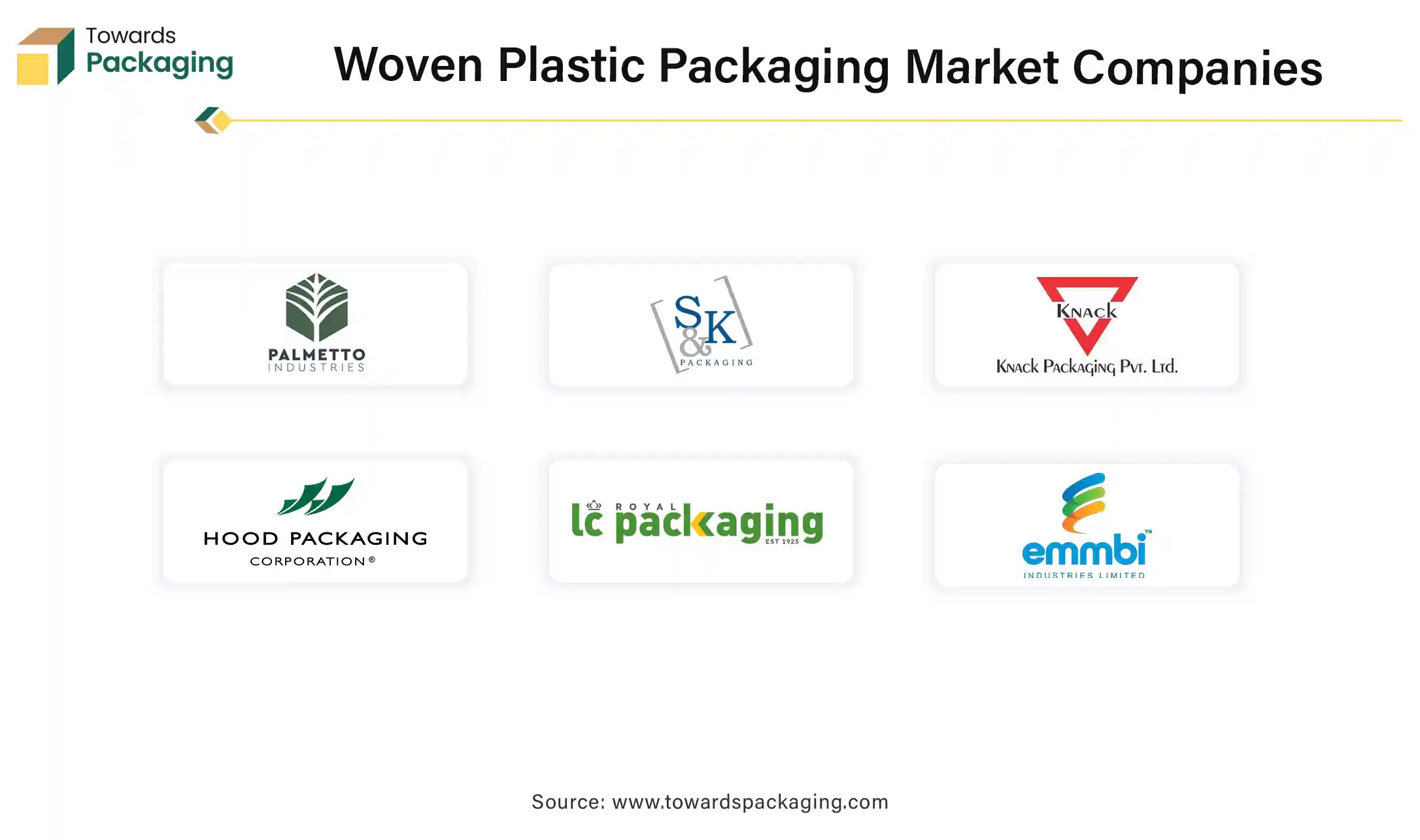 Woven Plastic Packaging Market Companies